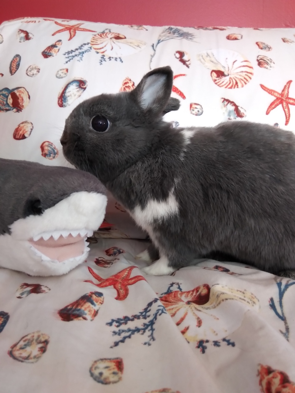 Tiny Bean and William Sharkspeare